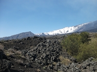 anobello-01042012 163